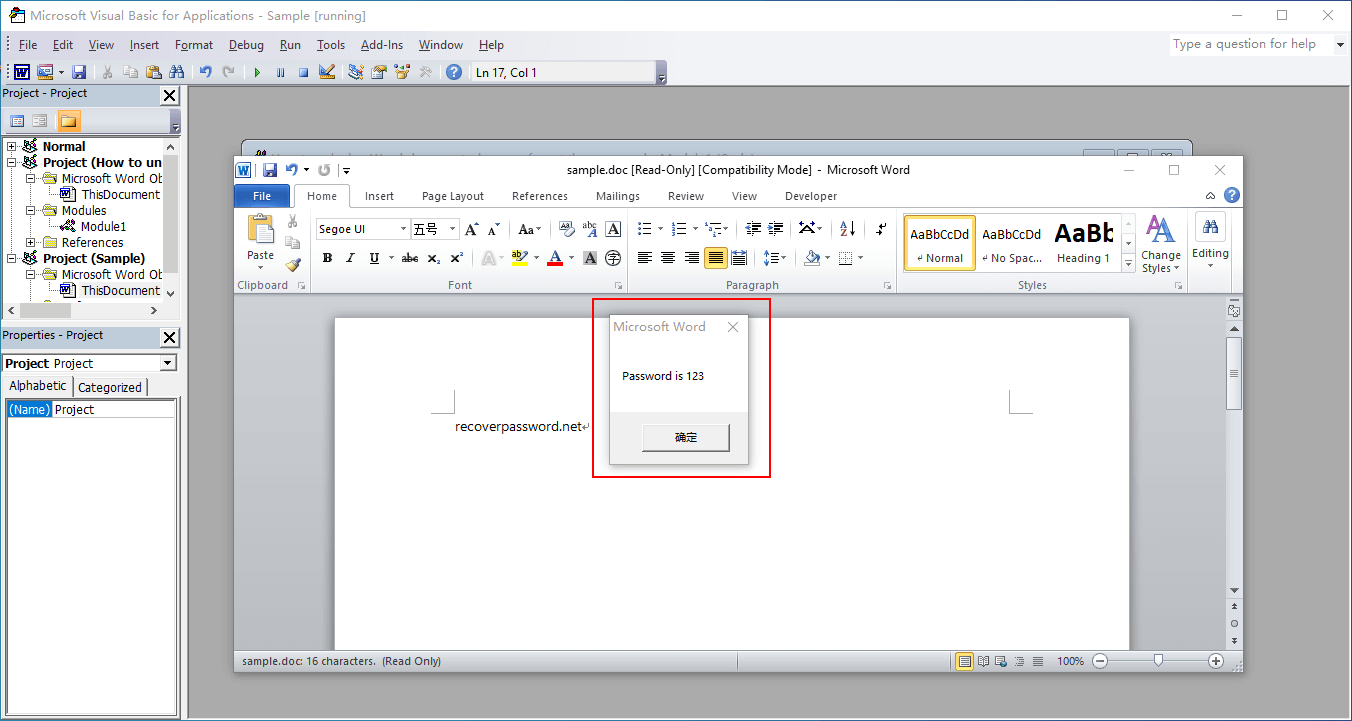 VBA for word password cracking