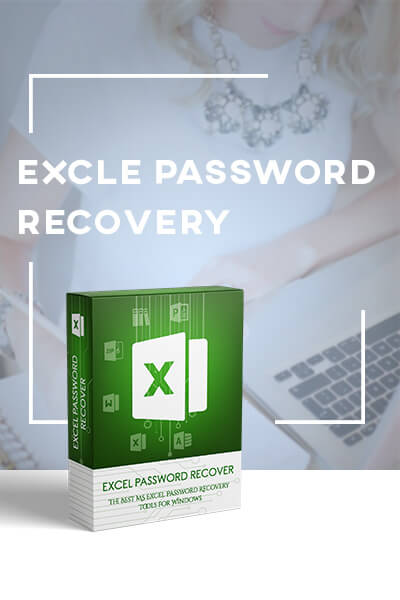 Excel password recovery box