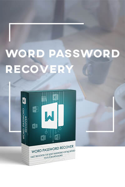 Word password recovery box