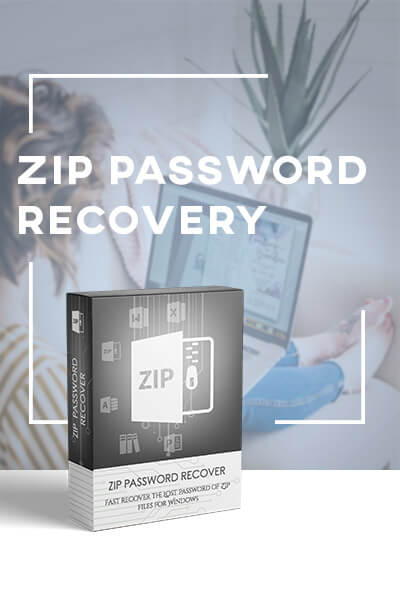 Zip password recovery box